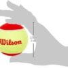 Wilson Starter Tennis Balls 24 Balls