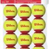 Wilson Starter Tennis Balls 24 Balls