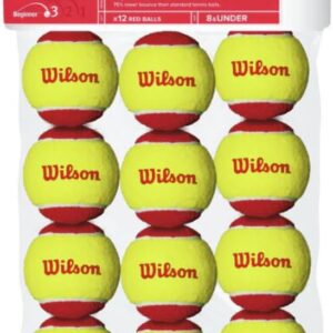 51rS7smPHNL._AC_SL1000_ Wilson Starter Tennis Balls 24 Balls