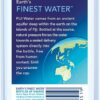 FIJI Natural Artesian Bottled Water 24 x 330ml [x2]