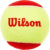 Wilson Starter Tennis Balls 24 Balls
