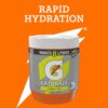 Gatorade Powder Lemon Lime 6 x 560g