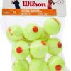 Wilson Starter Tennis Balls Yellow/Orange 24 Balls