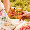 Bundaberg Ginger Beer Mini Cans 24 Pack [x3]