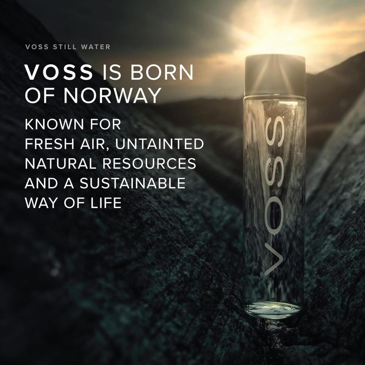 Voss Still Water 375mL x 24