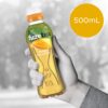 Fuze Mango Green Iced Tea 12 x 500mL [x2]