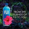 FIJI Natural Artesian Bottled Water 12 x 1L [x2]