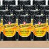 Schweppes Tonic Water 200mL x 24 [x2]