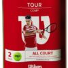 51696GxsdIL._AC_SL1000_ Wilson Tennis Balls 2 Pack x 12