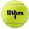 51DIoSlruUL._AC_SL1000_ Wilson Tennis Balls 2 Pack x 12