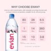 Evian Natural Mineral Water 24 x 500ml [x2]