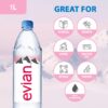 Evian Natural Mineral Water 12 x 1L [x2]