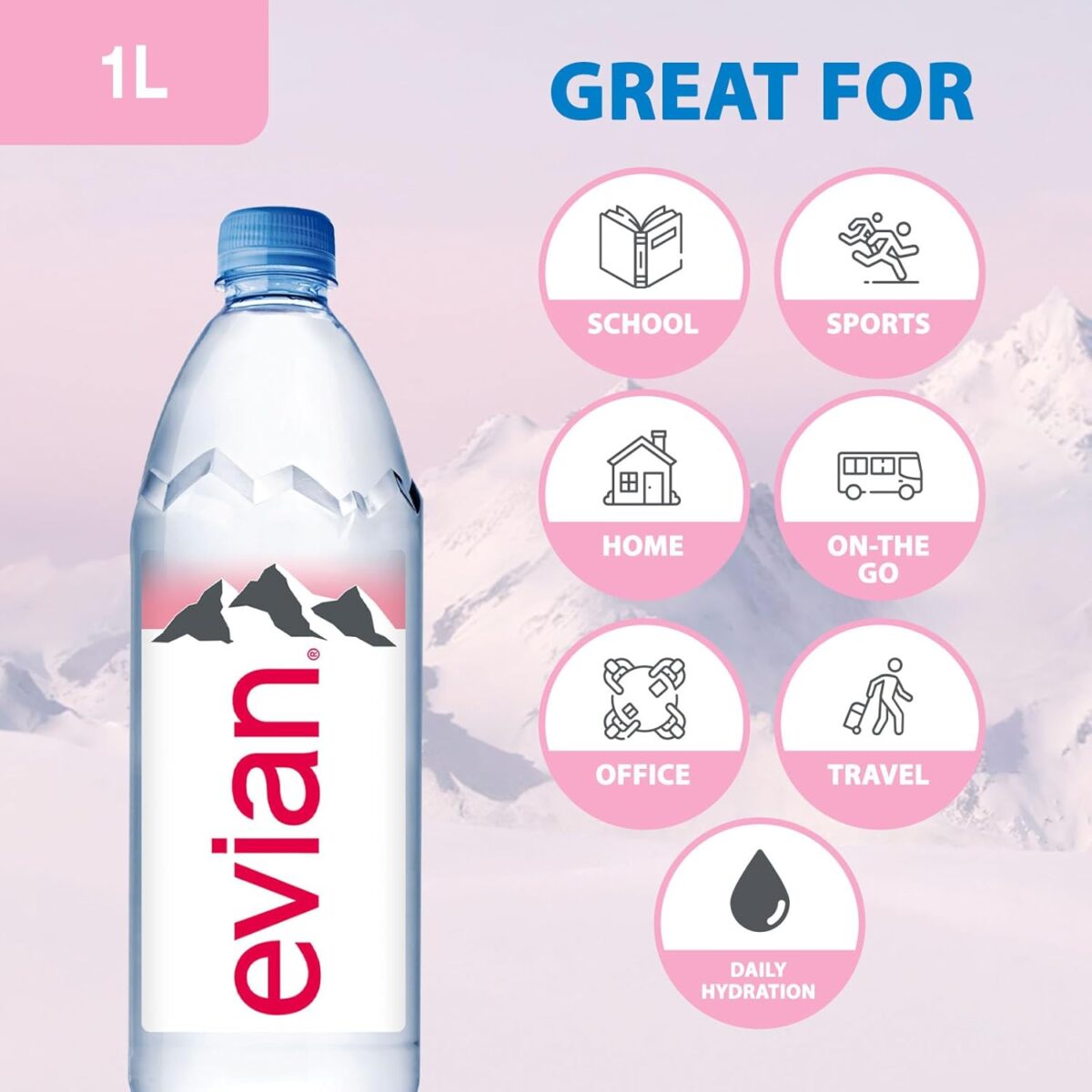 Evian Natural Mineral Water 12 x 1L [x2]