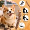 Beef Rib Bones Dog Treats 150g [x4]
