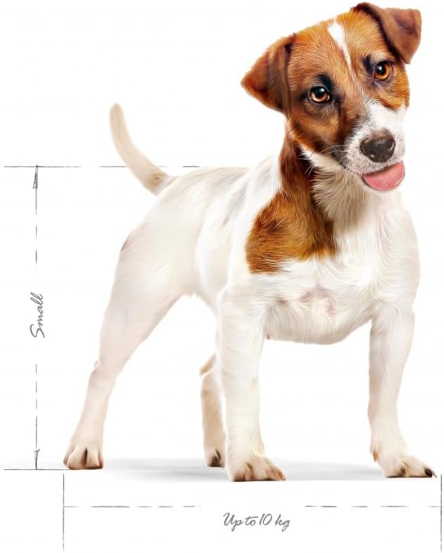 Royal Canin Dog Food Mini Adult Mix, Dry Food - 2kg Bag [x3]
