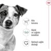 Royal Canin Dog Food Mini Adult Mix, Dry Food - 2kg Bag [x3]