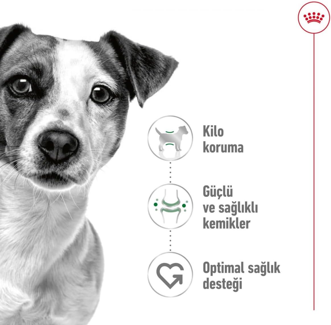 Royal Canin Dog Food Mini Adult Mix, Dry Food - 2kg Bag [x3]