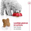 Royal Canin Dog Food Mini Adult Mix, Dry Food - 2kg Bag [x3]