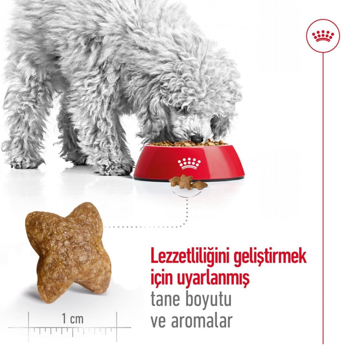 Royal Canin Dog Food Mini Adult Mix, Dry Food - 2kg Bag [x3]