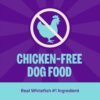 Wellness CORE Grain-Free Dry Dog Food, Ocean Whitefish, Herring & Salmon, 1.8kg [x2]