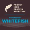 Wellness CORE Grain-Free Dry Dog Food, Ocean Whitefish, Herring & Salmon, 1.8kg [x2]