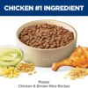 B003MW98OC_img_3 Hill's Science Diet Puppy, Chicken Meal and Barley Recipe, Dry Dog Food for Medium Breed Dogs, 7.03kg Bag