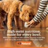 K9 Natural - Grain Free Freeze Dried Dog Food - Lamb, 500g [x2]
