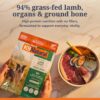 K9 Natural - Grain Free Freeze Dried Dog Food - Lamb, 500g [x2]