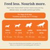 K9 Natural - Grain Free Freeze Dried Dog Food - Lamb, 500g [x2]