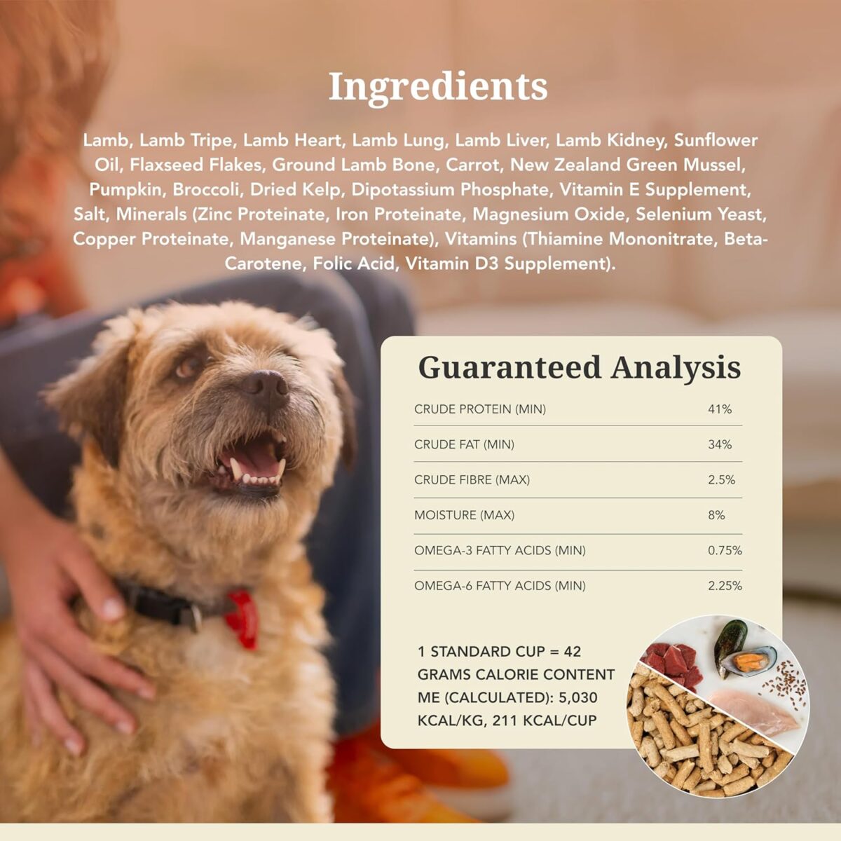 K9 Natural - Grain Free Freeze Dried Dog Food - Lamb, 500g [x2]