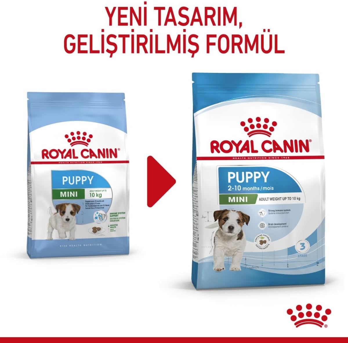 B005OI7N1M_img_5 Royal Canin Mini Puppy Junior Dry Dog Food 4 Kg