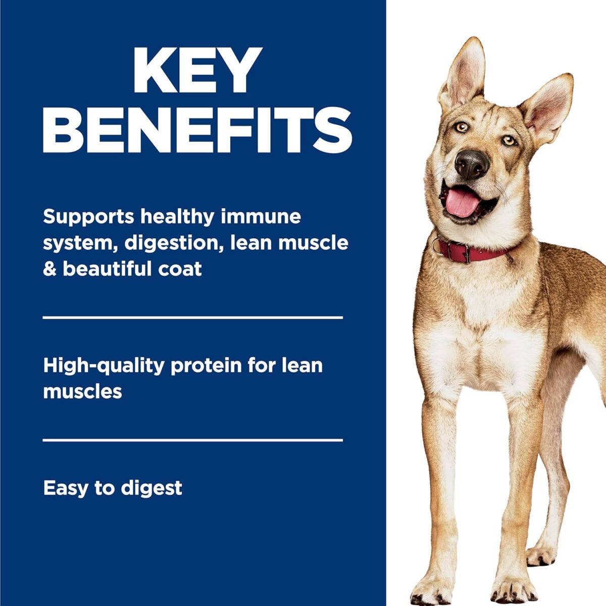 B005VSGB18_img_4 Hill's Science Diet Adult Wet Dog Food, Savory Stew with Chicken and Vegetables, 363g, 12 Pack, Canned