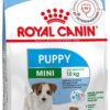 Royal Canin Mini Puppy Junior Dry Dog Food 800 Gm [x2]