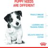 Royal Canin Mini Puppy Junior Dry Dog Food 800 Gm [x2]