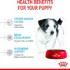 Royal Canin Mini Puppy Junior Dry Dog Food 800 Gm [x2]