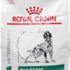 Royal Canin Diabetic Adult Dog Food 1.5kg [x2]