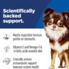B01BKECERG_img_4 Hill's Science Diet Sensitive Stomach & Skin Adult Small & Mini Chicken Dry Dog Food 6.8kg Bag