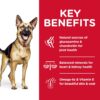 Hill's Science Diet Adult 6+ Large Breed Senior Dry Dog Food 12kg
