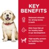 Hill's Science Diet Puppy Large Breed Dry Dog Food 12kg