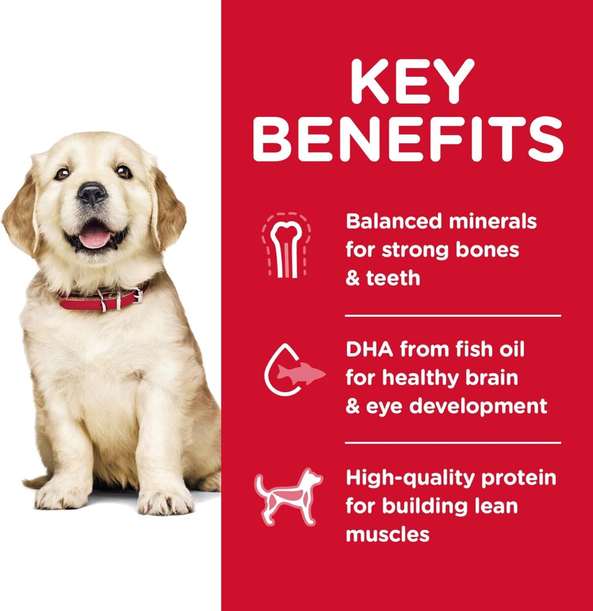 Hill's Science Diet Puppy Large Breed Dry Dog Food 12kg