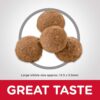 Hill's Science Diet Puppy Large Breed Dry Dog Food 12kg