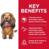 B07GBZ7PRS_img_3 Hill's Science Diet Oral Care Adult Chicken, Rice & Barley Dry Dog Food, 12kg