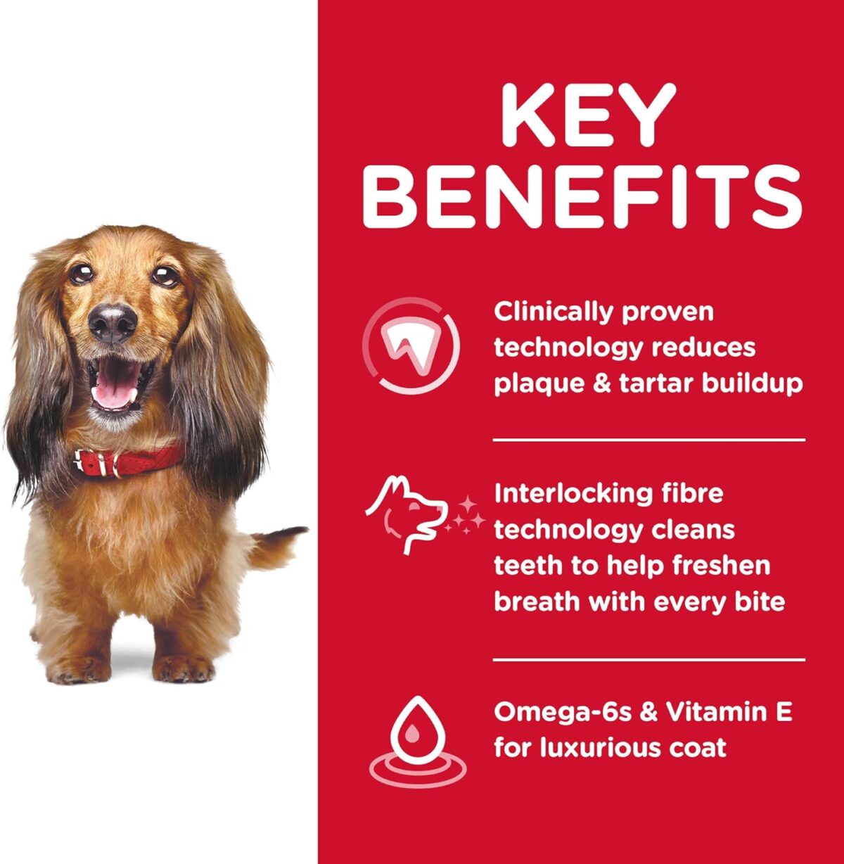 B07GBZ7PRS_img_3 Hill's Science Diet Oral Care Adult Chicken, Rice & Barley Dry Dog Food, 12kg