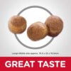 B07GBZ7PRS_img_4 Hill's Science Diet Oral Care Adult Chicken, Rice & Barley Dry Dog Food, 12kg