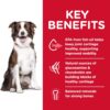 B07GC89QTM_img_3 Hill's Science Diet Adult Healthy Mobility Large Breed Dry Dog Food 12kg