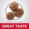 B07GC89QTM_img_4 Hill's Science Diet Adult Healthy Mobility Large Breed Dry Dog Food 12kg