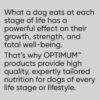 Optimum Adult Dog Wet Can Food with Beef Rice and Egg Natural, 700 g (Pack of 12) [x2]