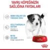 Royal Canin Mini Puppy in Gravy Pouches Wet Dog Food 85 GMS 12 Pack [x2]