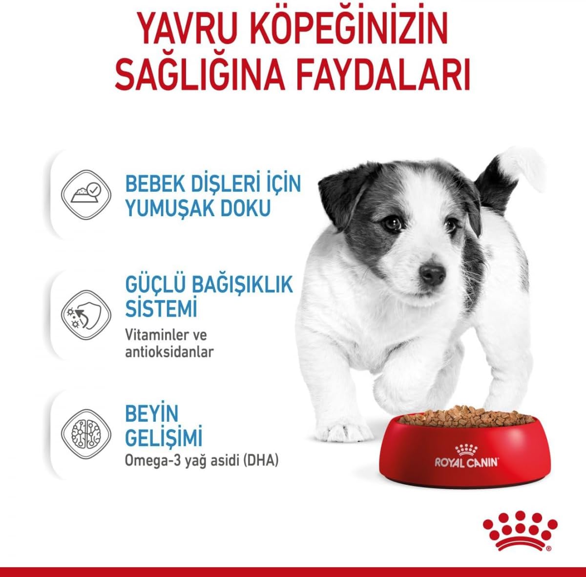 Royal Canin Mini Puppy in Gravy Pouches Wet Dog Food 85 GMS 12 Pack [x2]