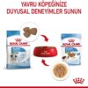 Royal Canin Mini Puppy in Gravy Pouches Wet Dog Food 85 GMS 12 Pack [x2]